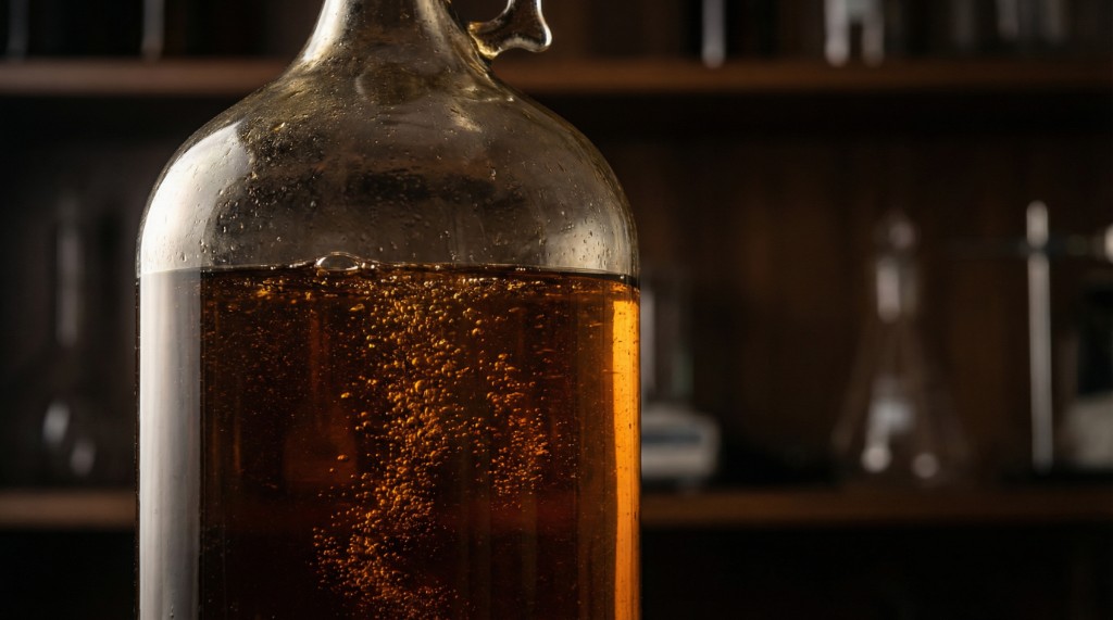 Bio-Fermentation Explained: Why It Changes Absorption